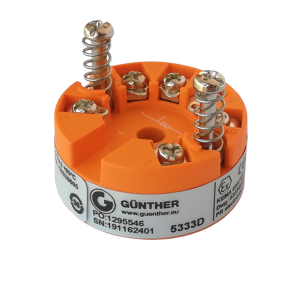 Guenther galvutėje montuojamas signalų keitiklis  GT 5333D
