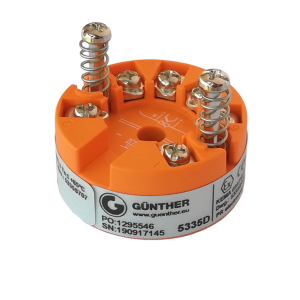 Guenther galvutėje montuojamas signalų keitiklis GT 5335D
