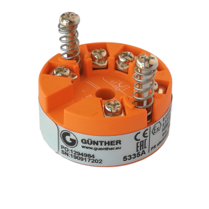 Guenther galvutėje montuojamas signalų keitiklis GT 5335A